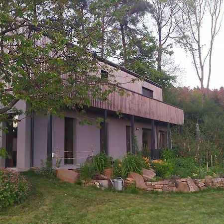 Gite Le Charme D'Argent Charmois-devant-Bruyeres Extérieur photo